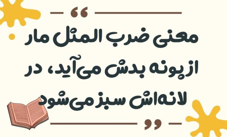 معنی ضرب المثل ﮔﻨﺠﺸﮏ ﺍﻣﺴﺎﻟﯽ ﮔﻨﺠﺸﮏ ﭘﺎﺭﺳﺎﻟﯽ ﺭﺍ ﻗﺒﻮﻝ ﻧﺪﺍﺭﺩ
