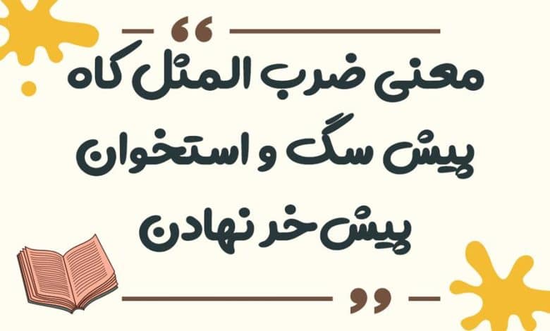 معنی ضرب المثل کاه پیش ﺳﮓ ﻭ استخوان پیش ﺧﺮ نهادن