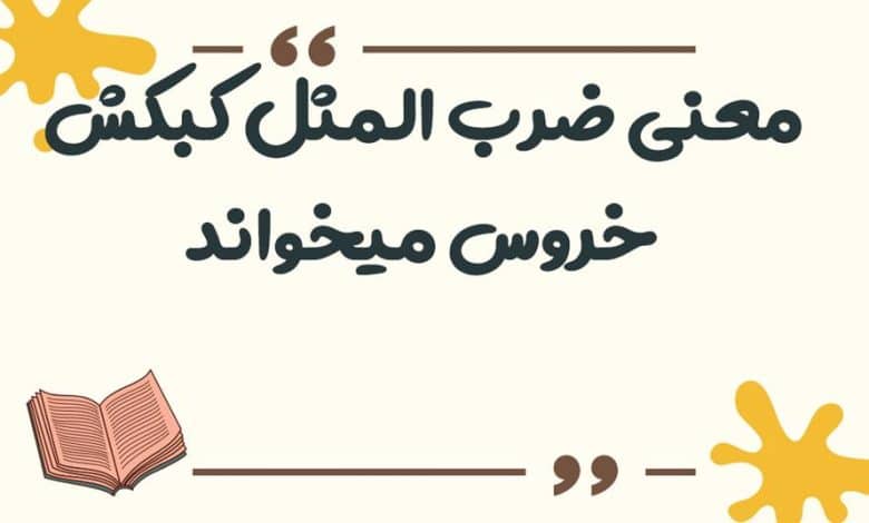 معنی ضرب المثل کبکش خروس میخواند