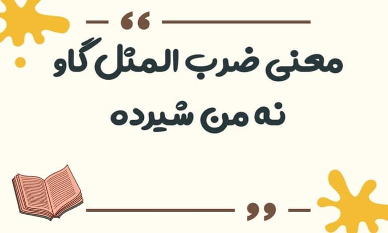 معنی ضرب المثل کفگیر به ته دیگ خورده