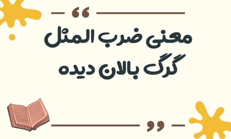 معنی ضرب المثل کفگیر به ته دیگ خورده