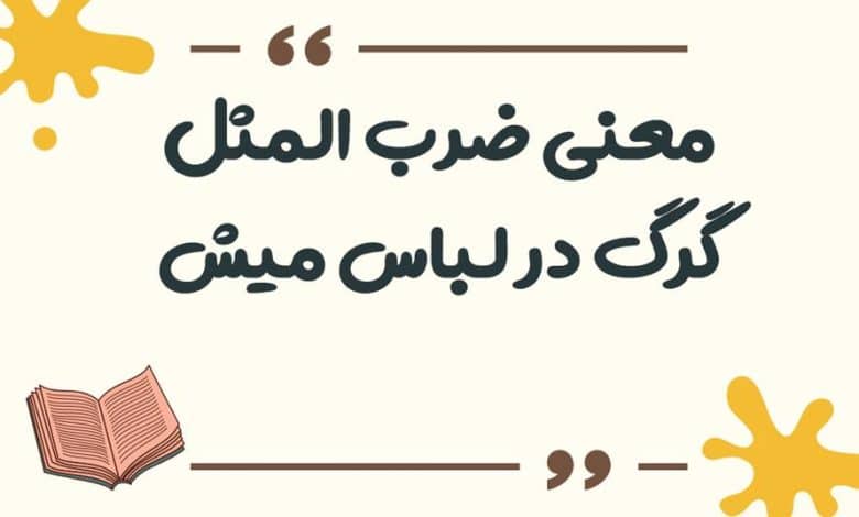 معنی ضرب المثل کفگیر به ته دیگ خورده