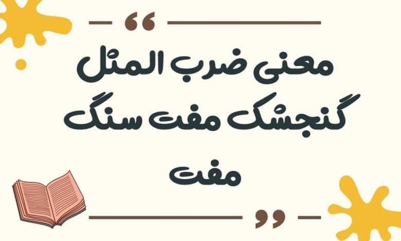 معنی ضرب المثل کفگیر به ته دیگ خورده
