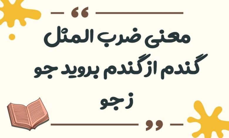 معنی ضرب المثل کفگیر به ته دیگ خورده