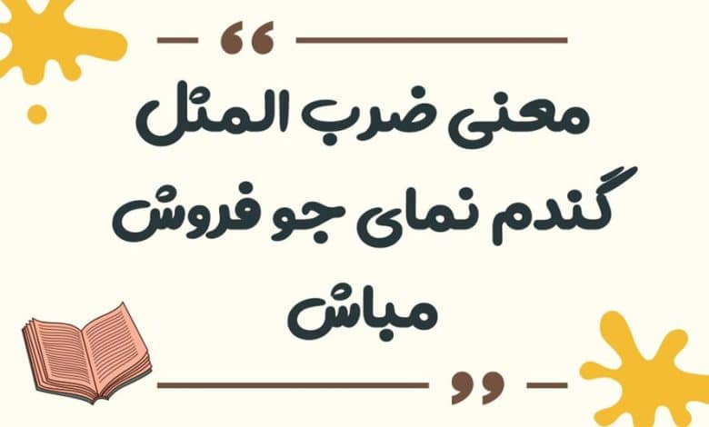 معنی ضرب المثل کفگیر به ته دیگ خورده