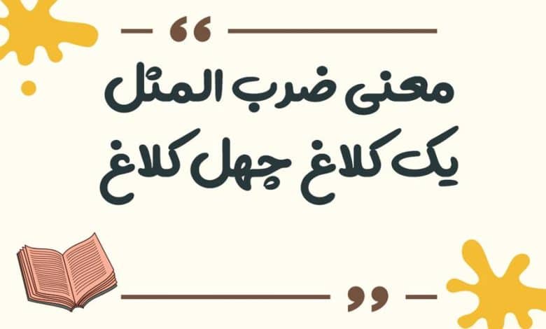 معنی ضرب المثل یک کلاغ چهل کلاغ