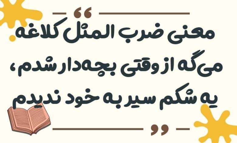 معنی ضرب المثل ﮐﻼغه میگه ﺍﺯ ﻭﻗﺘﯽ ﺑﭽﻪ ﺩﺍﺭ ﺷﺪم، یه ﺷﮑﻢ ﺳﯿﺮ ﺑﻪ ﺧﻮد ﻧﺪﯾﺪم