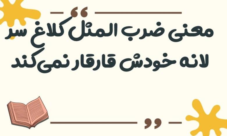 معنی ضرب المثل ﮐﻼﻍ ﺳﺮ ﻻﻧﻪ ﺧﻮﺩﺵ ﻗﺎﺭﻗﺎﺭ ﻧﻤﯽﮐﻨﺪ