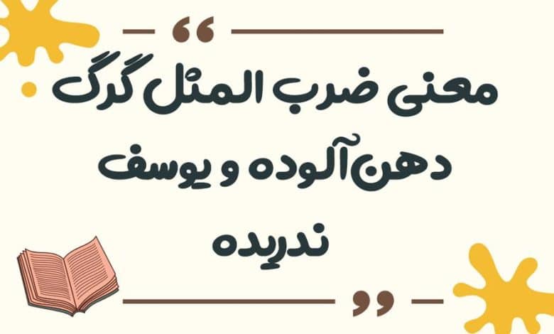 معنی ضرب المثل ﮔﻨﺠﺸﮏ ﺍﻣﺴﺎﻟﯽ ﮔﻨﺠﺸﮏ ﭘﺎﺭﺳﺎﻟﯽ ﺭﺍ ﻗﺒﻮﻝ ﻧﺪﺍﺭﺩ