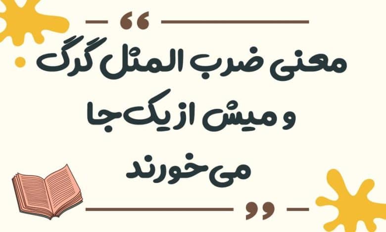معنی ضرب المثل ﮔﻨﺠﺸﮏ ﺍﻣﺴﺎﻟﯽ ﮔﻨﺠﺸﮏ ﭘﺎﺭﺳﺎﻟﯽ ﺭﺍ ﻗﺒﻮﻝ ﻧﺪﺍﺭﺩ
