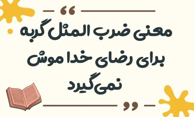معنی ضرب المثل ﮔﻨﺠﺸﮏ ﺍﻣﺴﺎﻟﯽ ﮔﻨﺠﺸﮏ ﭘﺎﺭﺳﺎﻟﯽ ﺭﺍ ﻗﺒﻮﻝ ﻧﺪﺍﺭﺩ
