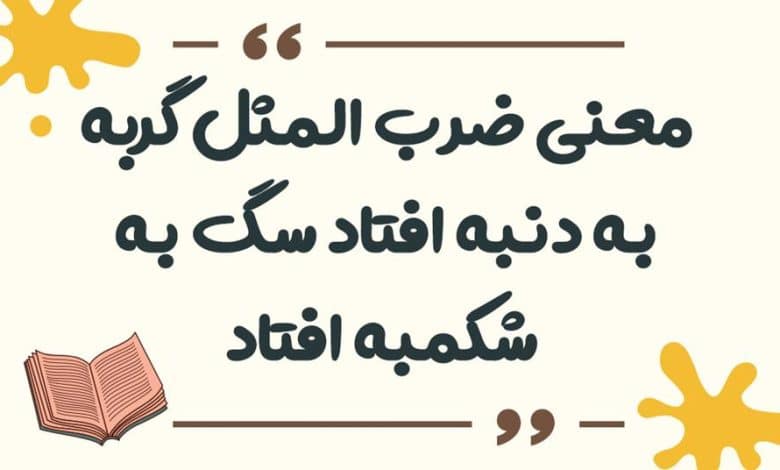 معنی ضرب المثل ﮔﻨﺠﺸﮏ ﺍﻣﺴﺎﻟﯽ ﮔﻨﺠﺸﮏ ﭘﺎﺭﺳﺎﻟﯽ ﺭﺍ ﻗﺒﻮﻝ ﻧﺪﺍﺭﺩ