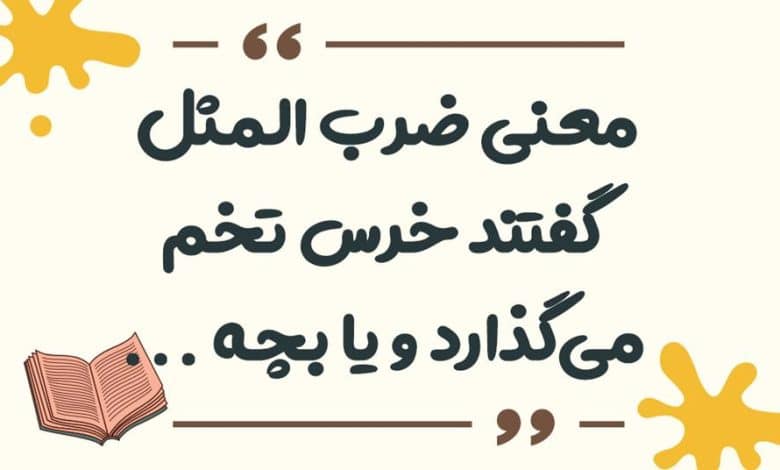 معنی ضرب المثل ﮔﻨﺠﺸﮏ ﺍﻣﺴﺎﻟﯽ ﮔﻨﺠﺸﮏ ﭘﺎﺭﺳﺎﻟﯽ ﺭﺍ ﻗﺒﻮﻝ ﻧﺪﺍﺭﺩ