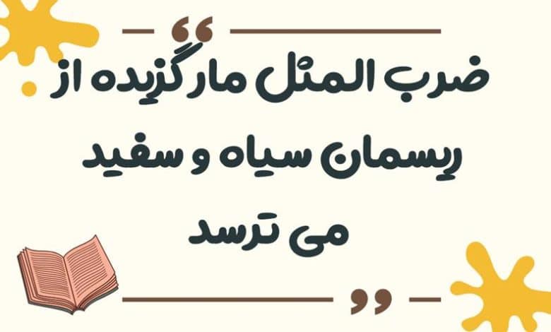 معنی ضرب المثل مار گزیده از ریسمان سیاه وسفید می ترسد