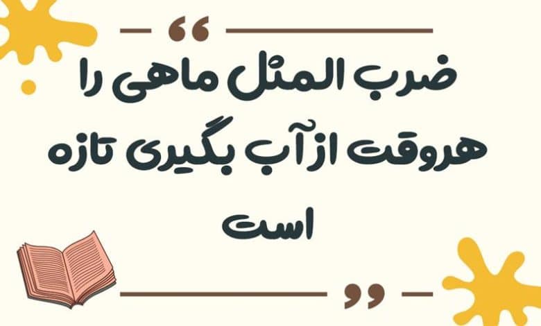 معنی ضرب المثل ماهی را هروقت از آب بگیری تازه است