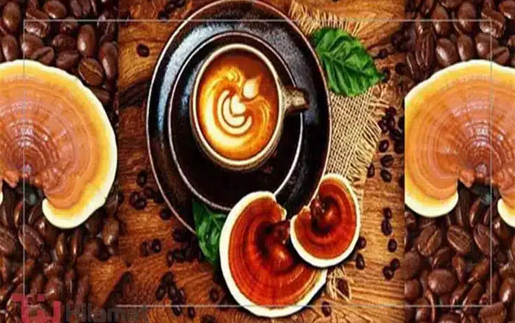 عوارض و فواید قهوه گانودرما