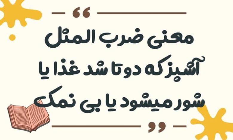 معنی ضرب المثل آشپز که دوتا شد غذا یا شور میشود یا بی نمک