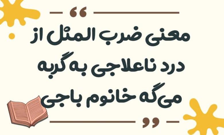 معنی ضرب المثل از درد ناعلاجی به گربه می‌گه خانوم باجی