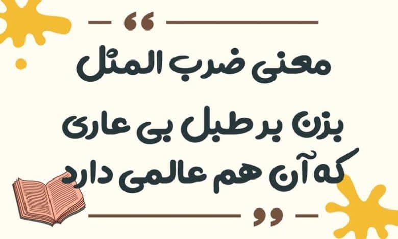 معنی ضرب المثل بزن بر طبل بی عاری که آن هم عالمی دارد