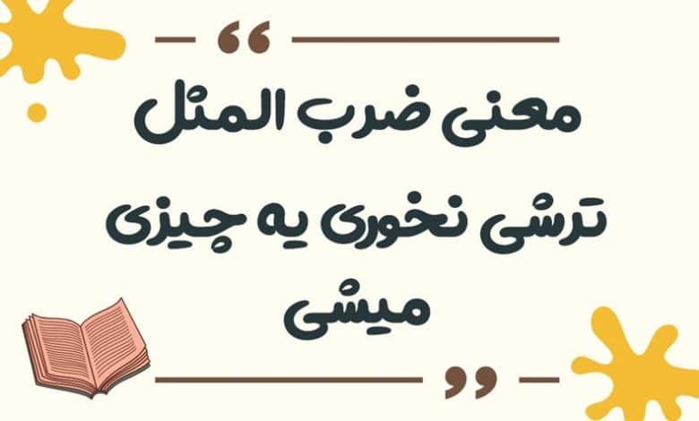 معنی ضرب المثل ترشی نخوری یه چیزی میشی