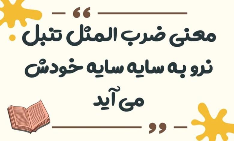 معنی ضرب المثل تنبل نرو به سایه سایه خودش می آید