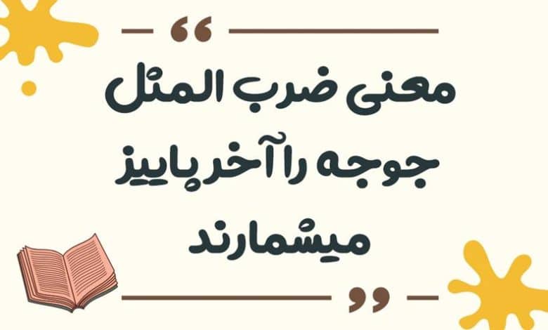 معنی ضرب المثل جوجه را آخر پاییز میشمارند