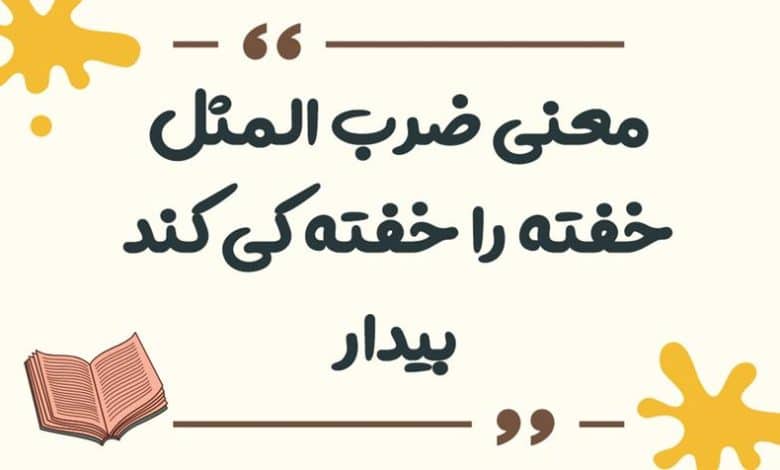 معنی ضرب المثل خفته را خفته کی کند بیدار