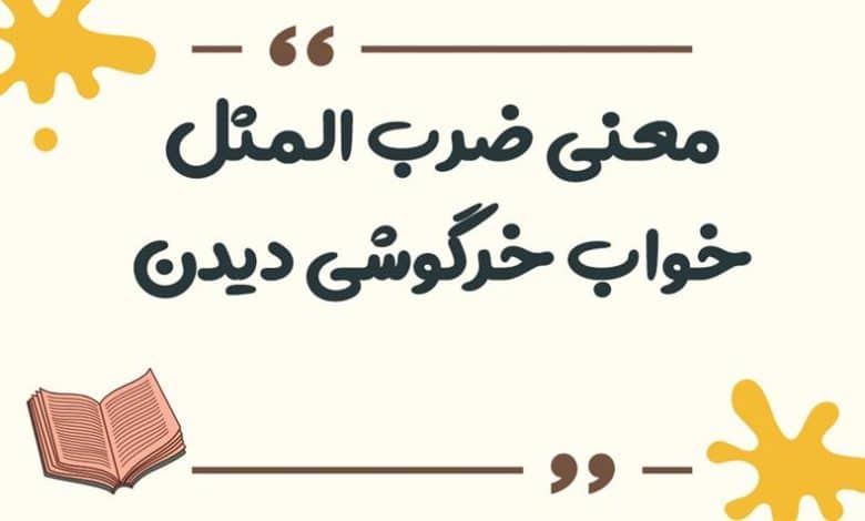 معنی ضرب المثل خواب خرگوشی دیدن