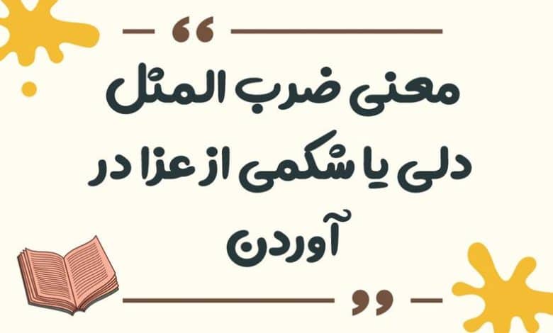 معنی ضرب المثل دلی یا شکمی از عزا در آوردن