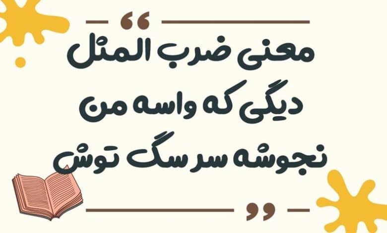معنی ضرب المثل دیگی که واسه من نجوشه سر سگ توش بجوشه