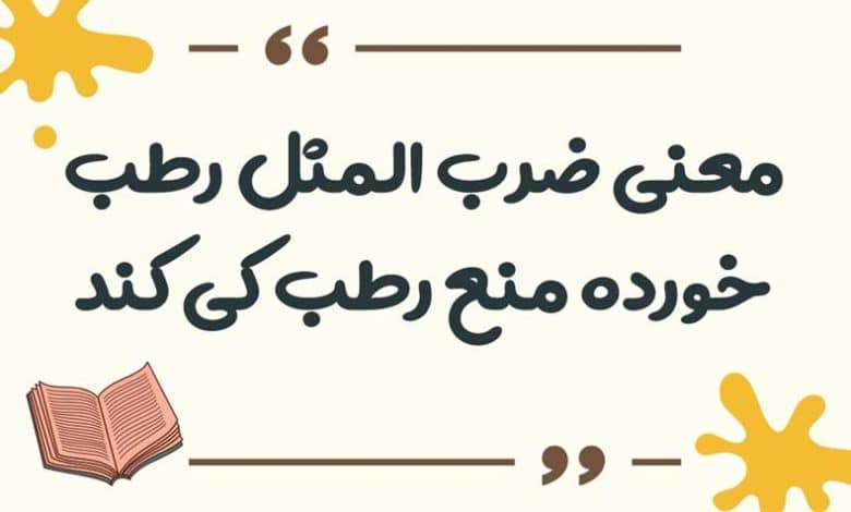 معنی ضرب المثل به قاطر گفتند: بابات کیه؟ گفت: آقا داییم اسبه