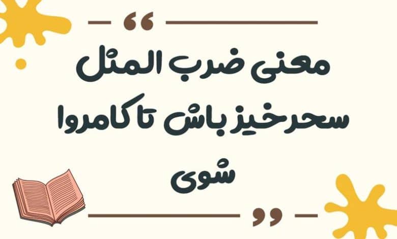 معنی ضرب المثل سحرخیز باش تا کامروا شوی