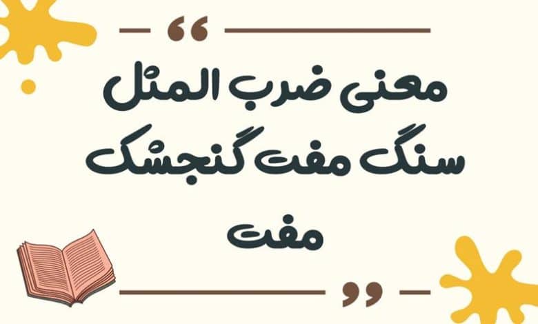 معنی ضرب المثل سنگ مفت گنجشک مفت