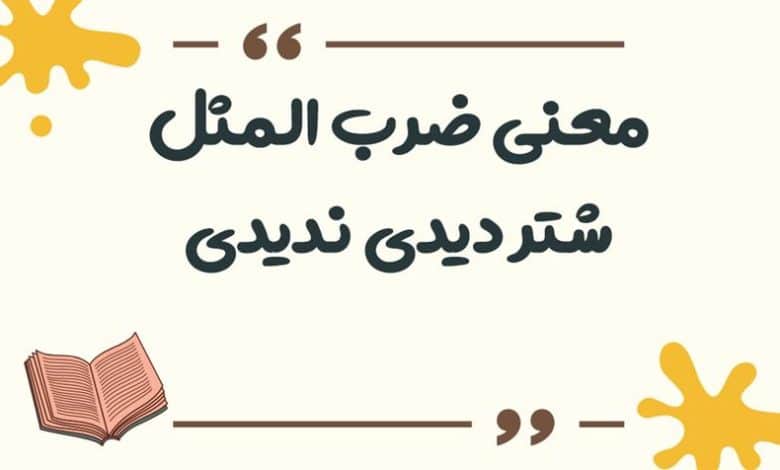 معنی ضرب المثل شتر دیدی ندیدی