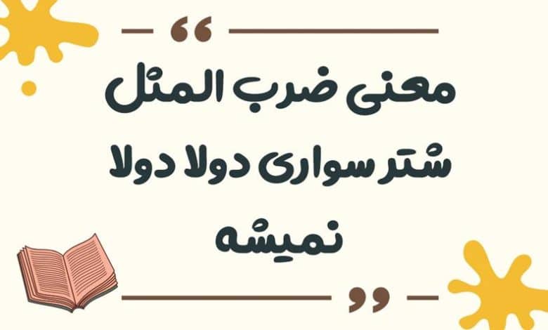 معنی ضرب المثل شتر سواری دولا دولا نمیشه