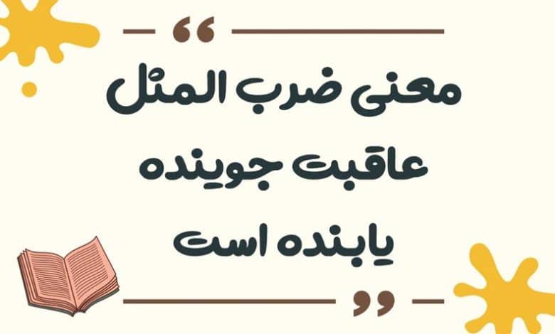 معنی ضرب المثل عاقبت جوینده یابنده است