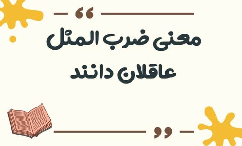 معنی ضرب المثل عاقلان دانند