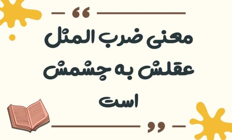 معنی ضرب المثل عقلش به چشمش است