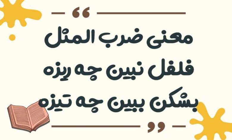 معنی ضرب المثل فلفل نبین چه ریزه بشکن ببین چه تیزه