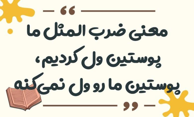 معنی ضرب المثل ما پوستین ول کردیم، پوستین ما رو ول نمی‌کنه