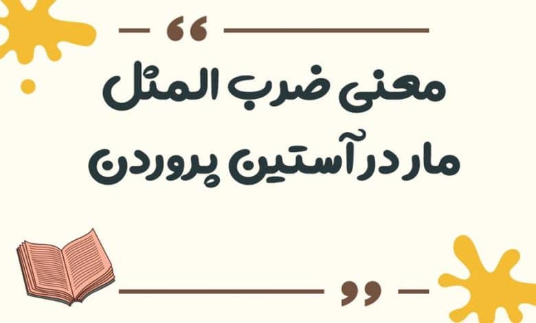 معنی ضرب المثل مار در آستین پروردن