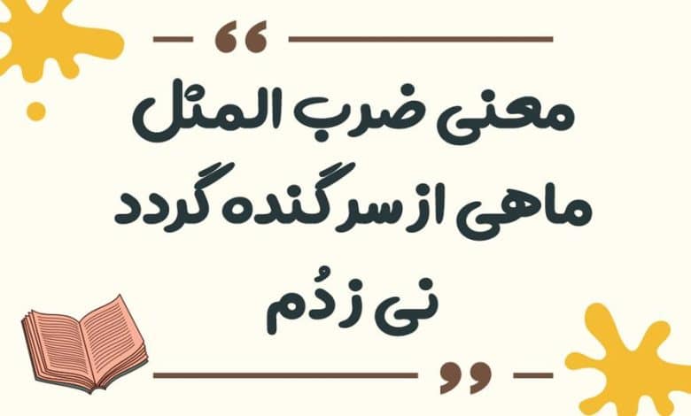 معنی ضرب المثل ماهی از سر گنده گردد نی ز ﺩُﻡ