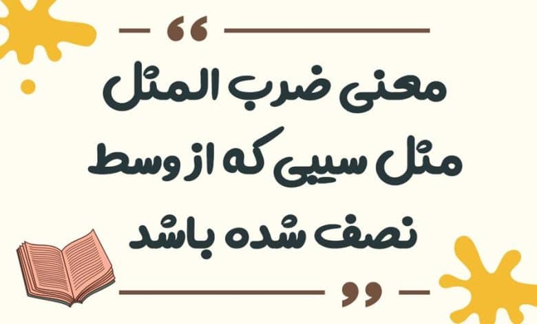 معنی ضرب المثل مثل سیبی که از وسط نصف شده باشد