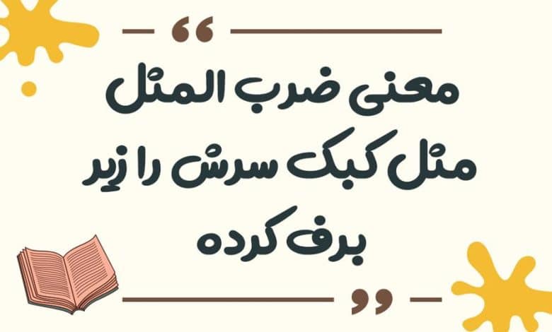 معنی ضرب المثل مثل کبک سرش را زیر برف کرده