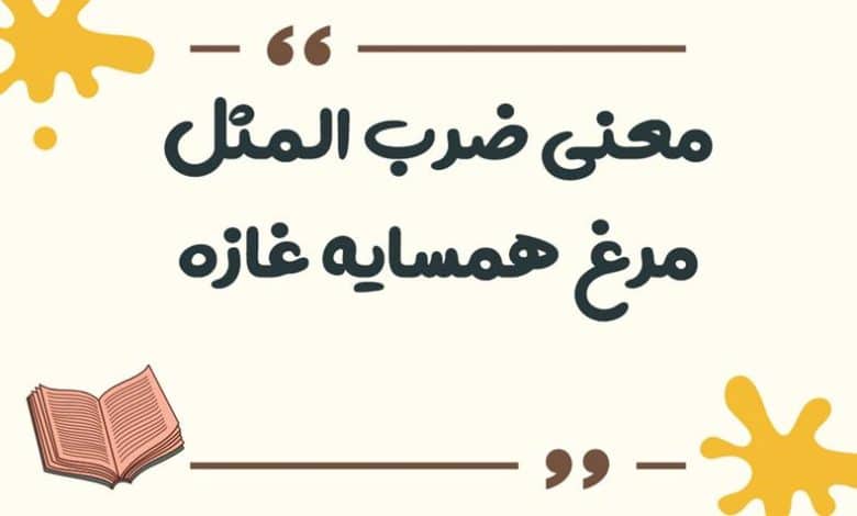 معنی ضرب المثل مرغ همسایه غازه