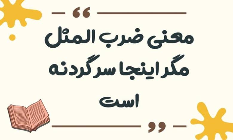 معنی ضرب المثل مگر اینجا سر گردنه است