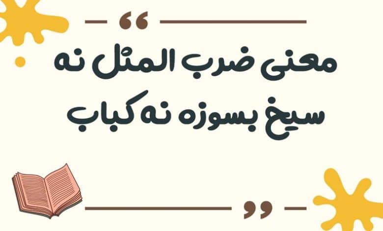 معنی ضرب المثل نه سیخ بسوزه نه کباب