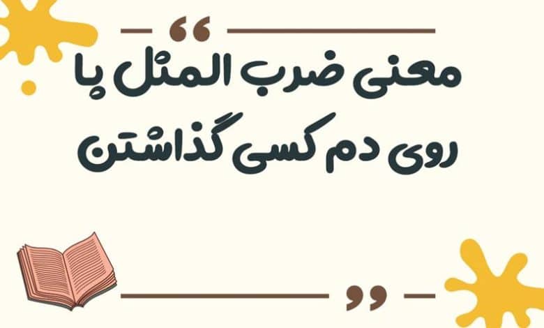 معنی ضرب المثل پا روی دم کسی گذاشتن