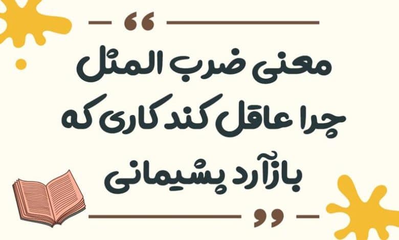 معنی ضرب المثل چرا عاقل کند کاری که بازآرد پشیمانی