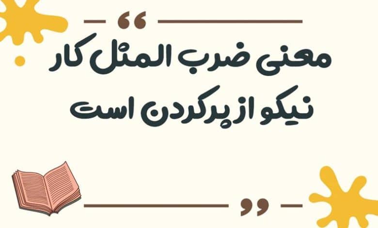 معنی ضرب المثل کار نیکو کردن از پرکردن است